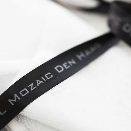 Stadsvilla Mozaic 4* Гаага